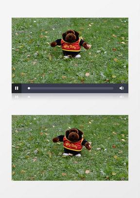 视频搞笑素材,视频搞笑素材大盘点
