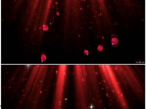 婚礼背景视频,浪漫瞬间，视频回顾