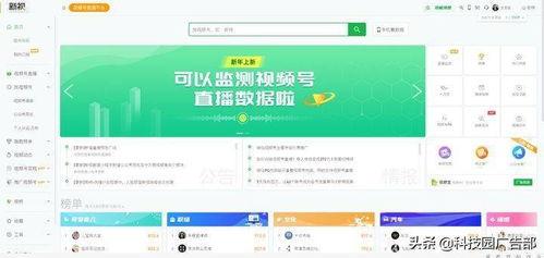 微信视频号数据分析,数据透视下的内容生态洞察
