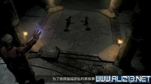 黑色荆棘视频,揭秘神秘世界的暗黑传说