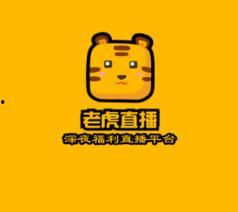 老虎直播视频,揭秘精彩瞬间，重温激情时刻