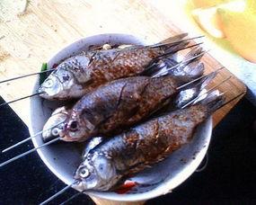 杀鱼的方法大全视频