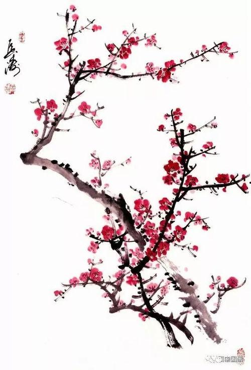 一步一步教画梅花视频,从零开始,一步步绘制美丽梅花