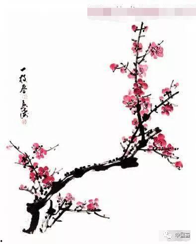 一步一步教画梅花视频,从零开始,一步步绘制美丽梅花
