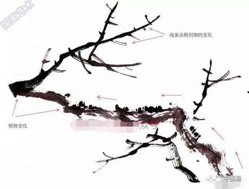 一步一步教画梅花视频,从零开始,一步步绘制美丽梅花